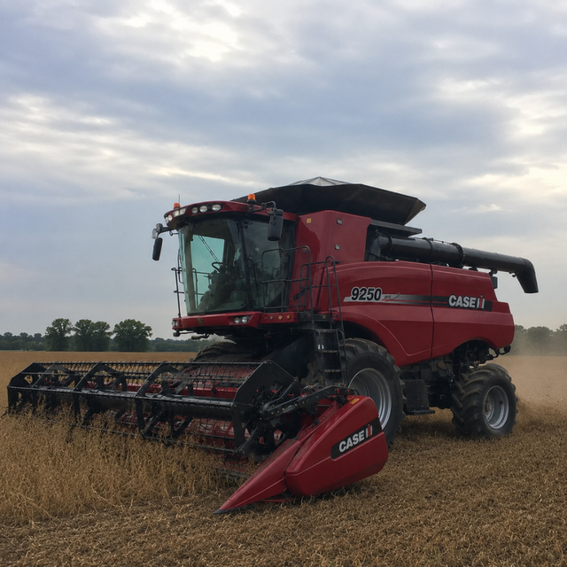 Case IH